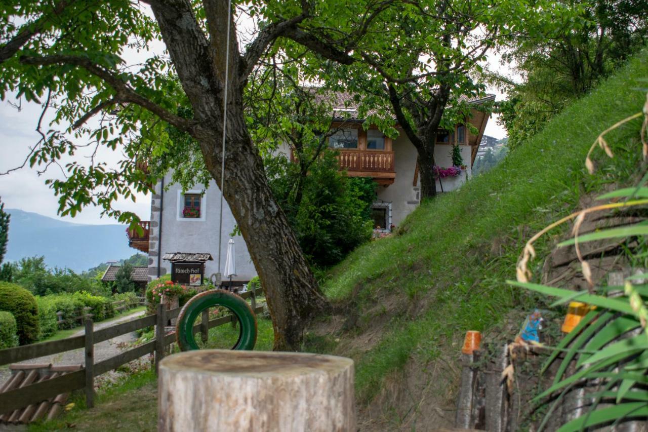 Ritschhof Guest House ไลออน ภายนอก รูปภาพ
